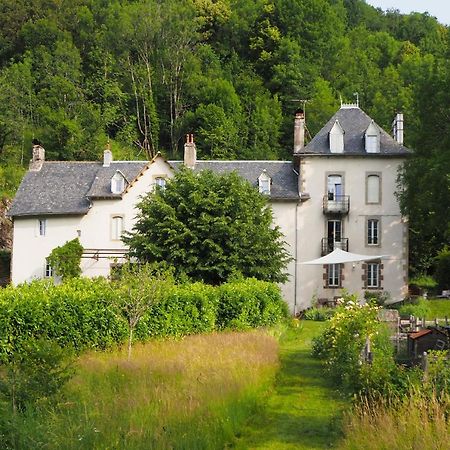 Domaine De La Jordanne - B&B Saint-Cirgues-de-Jordanne Exterior foto