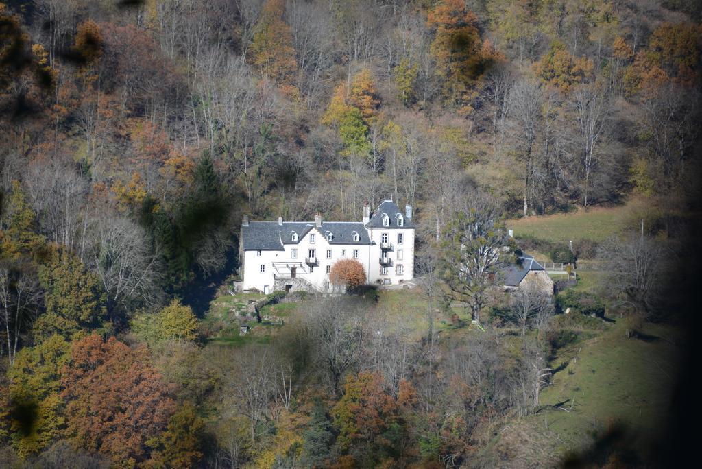 Domaine De La Jordanne - B&B Saint-Cirgues-de-Jordanne Exterior foto
