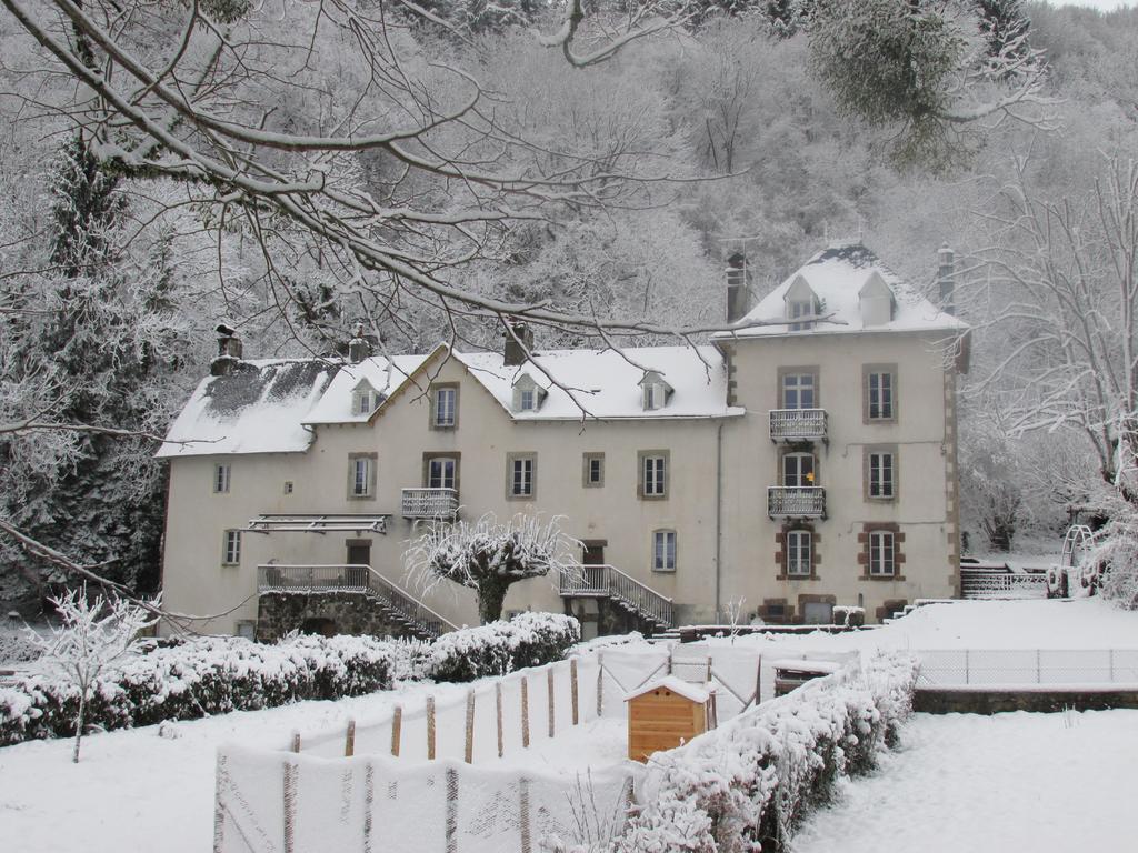 Domaine De La Jordanne - B&B Saint-Cirgues-de-Jordanne Exterior foto