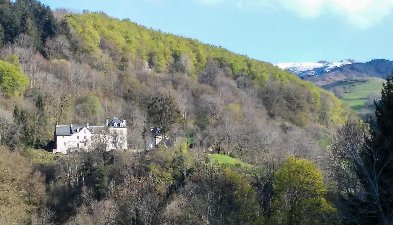 Domaine De La Jordanne - B&B Saint-Cirgues-de-Jordanne Exterior foto