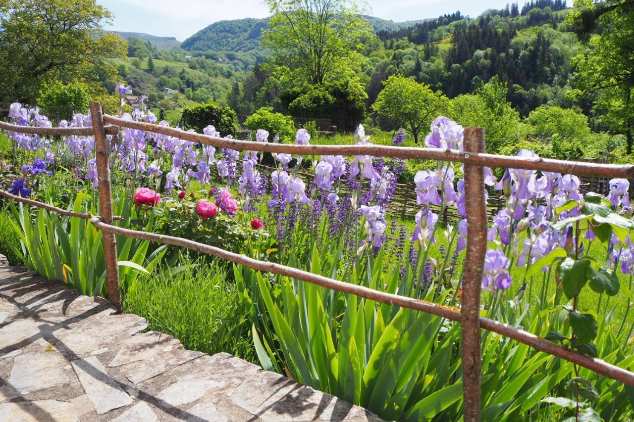 Domaine De La Jordanne - B&B Saint-Cirgues-de-Jordanne Exterior foto